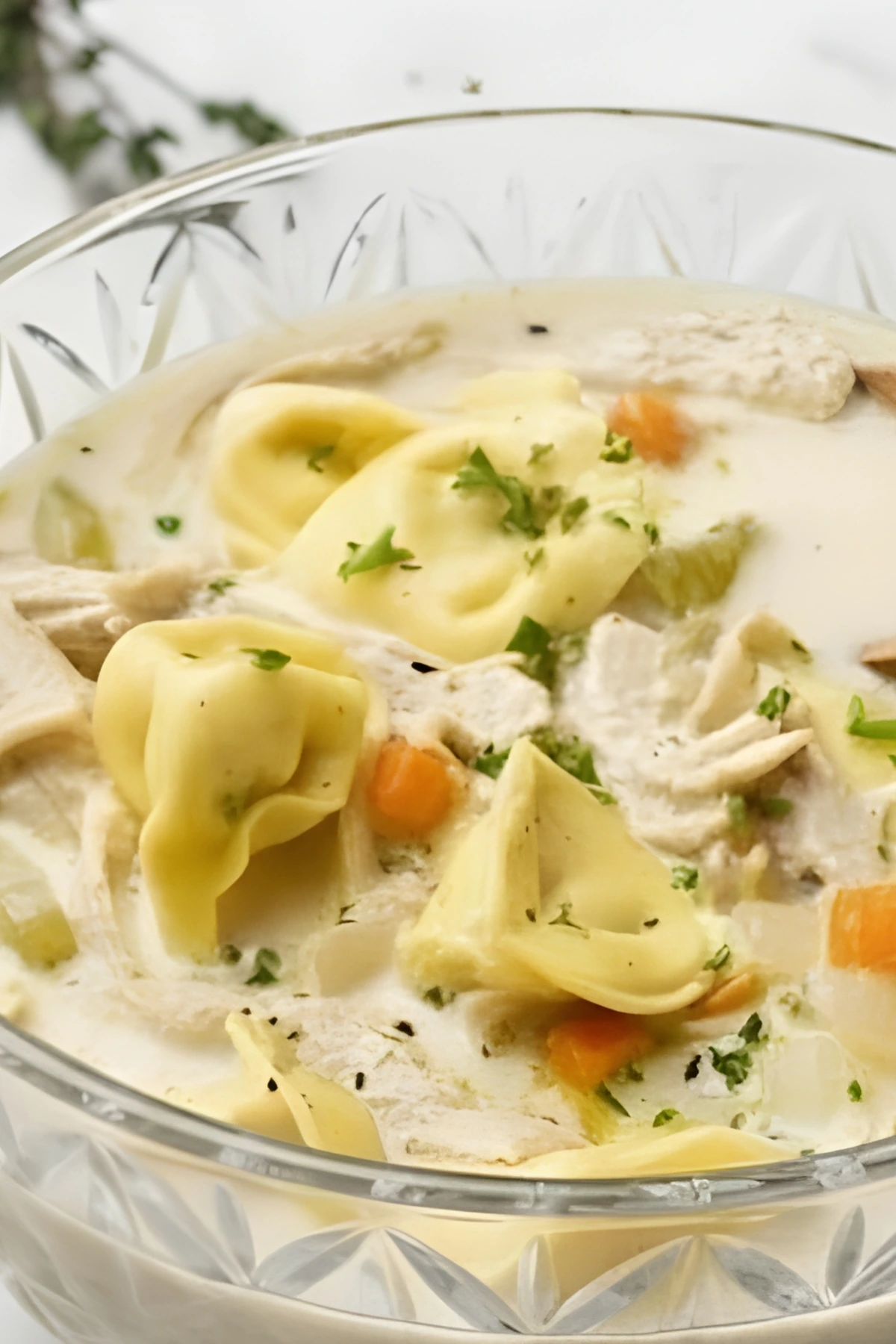 Close-Up of Creamy Chicken Tortellini Soup with Veggies and Fresh Herbs