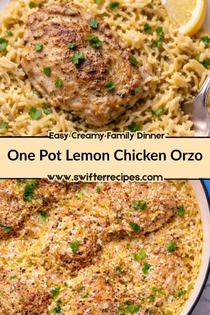 One pot lemon chicken orzo with creamy orzo pasta, golden seared chicken thighs, fresh parsley, and lemon garnish
