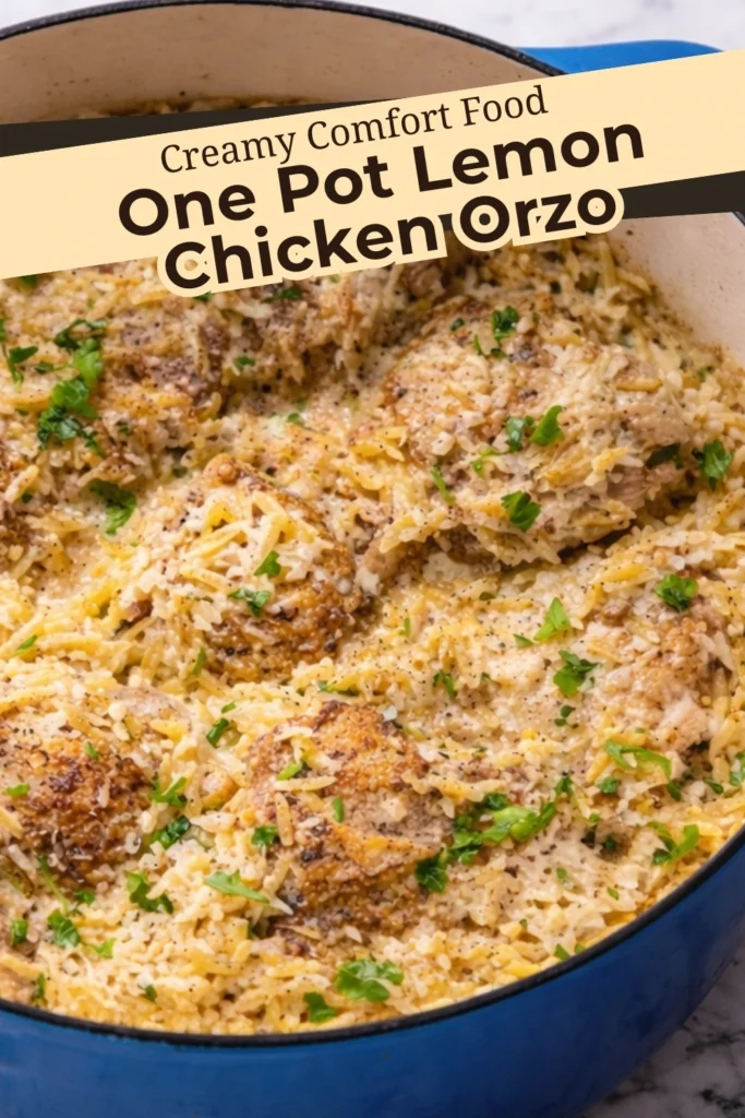One pot lemon chicken orzo with creamy orzo pasta and golden seared chicken thighs cooked in a Dutch oven